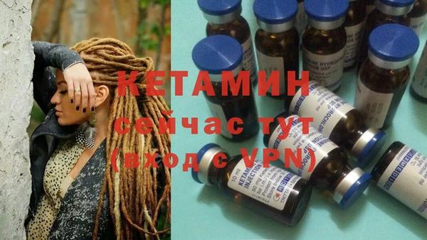 PSILOCYBIN Бородино