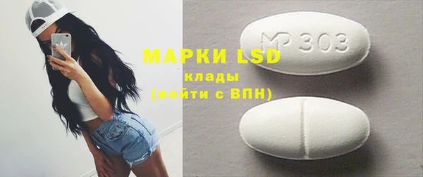 PSILOCYBIN Бородино