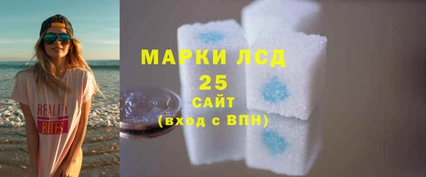 PSILOCYBIN Бородино