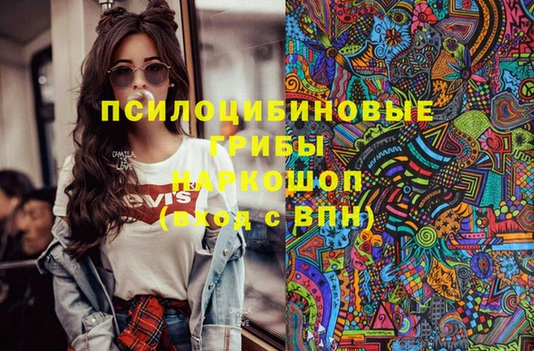 МДПВ Бронницы