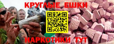крисы Славгород