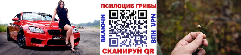 Галлюциногенные грибы MAGIC MUSHROOMS продажа наркотиков Северск