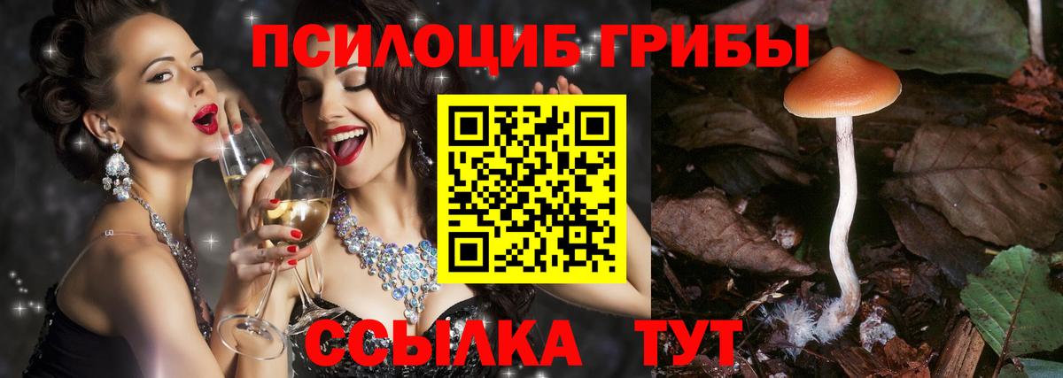 Псилоцибиновые грибы прущие грибы Северск