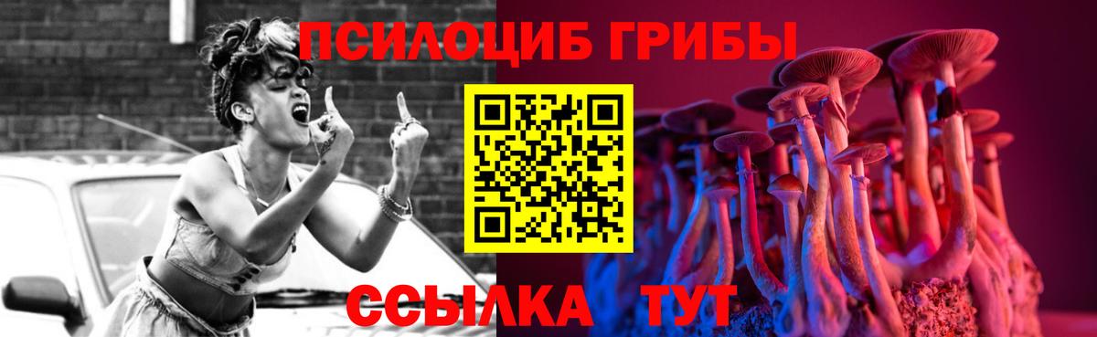 Северск  Галлюциногенные грибы мицелий  Вход с VPN 